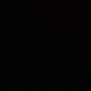 Meet your Posher, Kiley